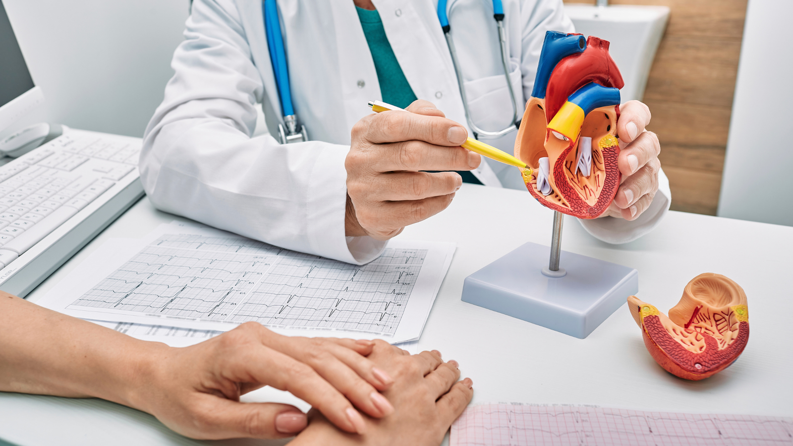 Médico explicando con un modelo anatómico del corazón junto a un electrocardiograma.